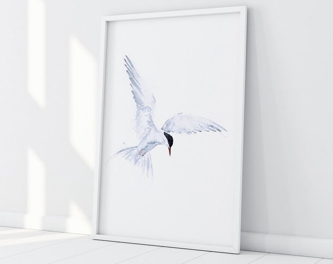 Flying Solo Arctic Tern Watercolour Painting - Hand Signed Limited Edition Print on Watercolour Paper of a Pair of Arctic Terns