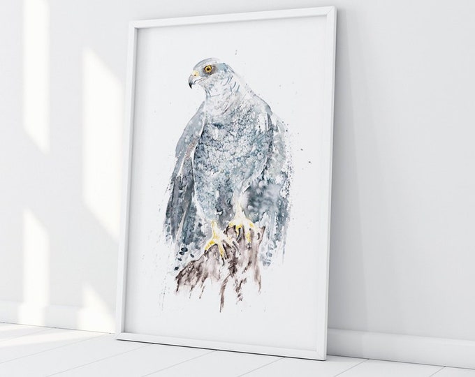 Goshawk Painting Watercolour Painting -  Limited Edition Print of my Goshawk Watercolour Painting Bird of Prey Painting