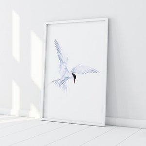 Flying Solo Arctic Tern Watercolour Painting - Hand Signed Limited Edition Print on Watercolour Paper of a Pair of Arctic Terns