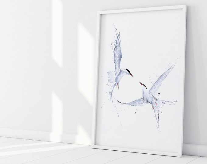 Arctic Angels Watercolour Painting - Hand Signed Limited Edition Print on Watercolour Paper of a Pair of Arctic Terns - Bird Living Room Art