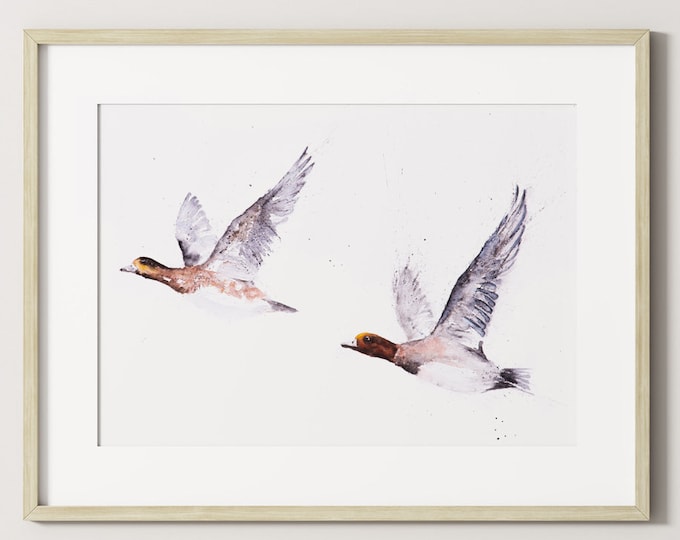 Widgeon Painting - Signed Limited Edition Print Wall Art Watercolour Painting Wildlife Abstract Modern Widgeon Water Colour Painting Bird