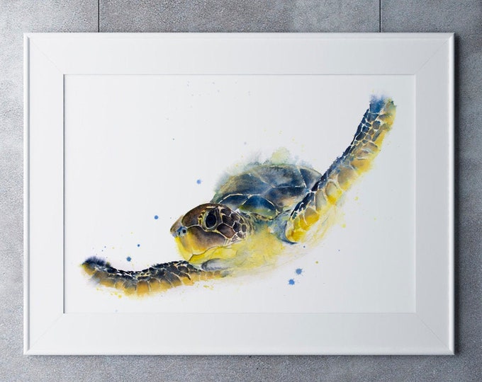 Turtle Watercolour Painting Chelys Galactica - Hand Signed Limited Print of my Original Watercolour Turtle Painting. Living Room Art