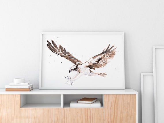 Osprey Painting Watercolour Painting Limited Edition Print | Etsy