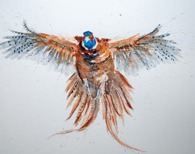 Flushed Pheasant Original Watercolour Painting by Syman Kaye