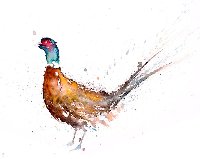 Pheasant no.7 - Signed Print of my original watercolour painting