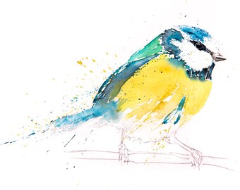 Blue Tit Painting No.11 - Hand Signed, Numbered, Dated and Embossed Limited Edition Print of my Watercolour Painting of a Blue Tit
