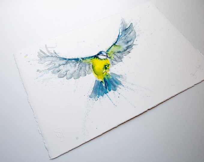 Blue Tit Original Watercolour Painting Bird Wall Art. Modern Water Colour Painting of Blue Tit by Syman Kaye