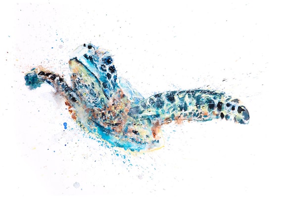 Turtle Watercolor Painting Watercolour Painting Hand Signed Etsy