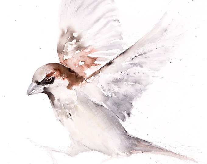 Sparrow Painting No.2  Sparrow Wall Art Hand Signed Numbered Embossed Limited Edition Print of my Watercolour Painting of a Sparrow