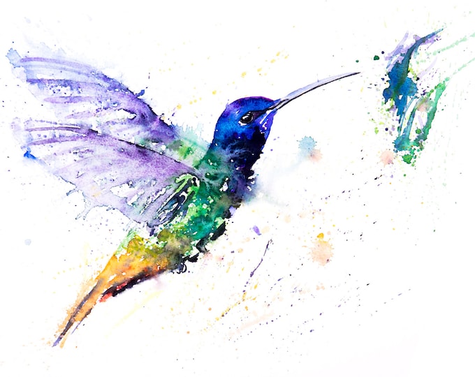 Humming Bird No.1 - Signed Print of my original watercolour painting