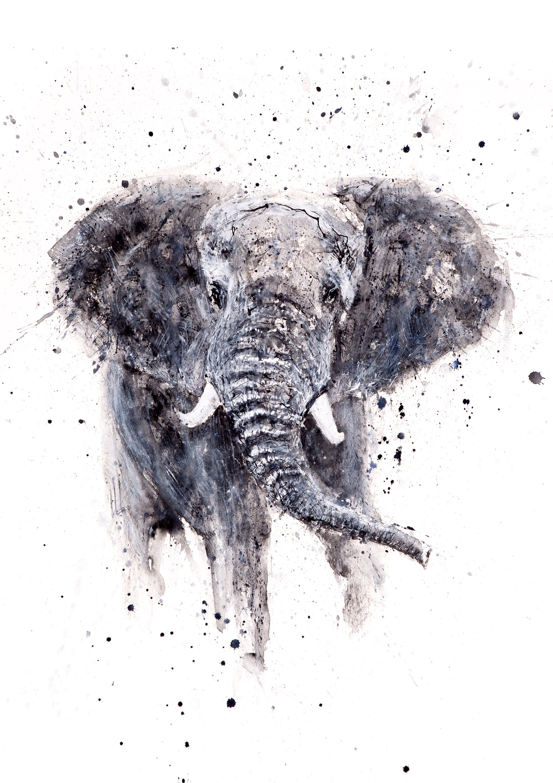 Elephant Canvas Print Hand Signed By Syman Kaye Elephant Etsy