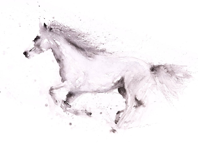 White Horse Watercolor Painting Watercolour Wall Art - Signed Limited Edition Print of my Original Watercolour Horse Painting