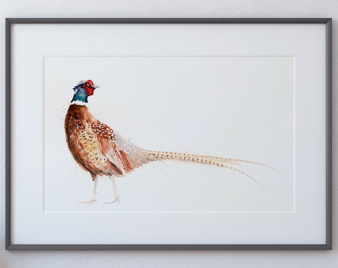 Pheasant Watercolor Painting Watercolour - Hand Signed Limited Edition Print of my Original Watercolour Painting of a Pheasant Bird Wall Art