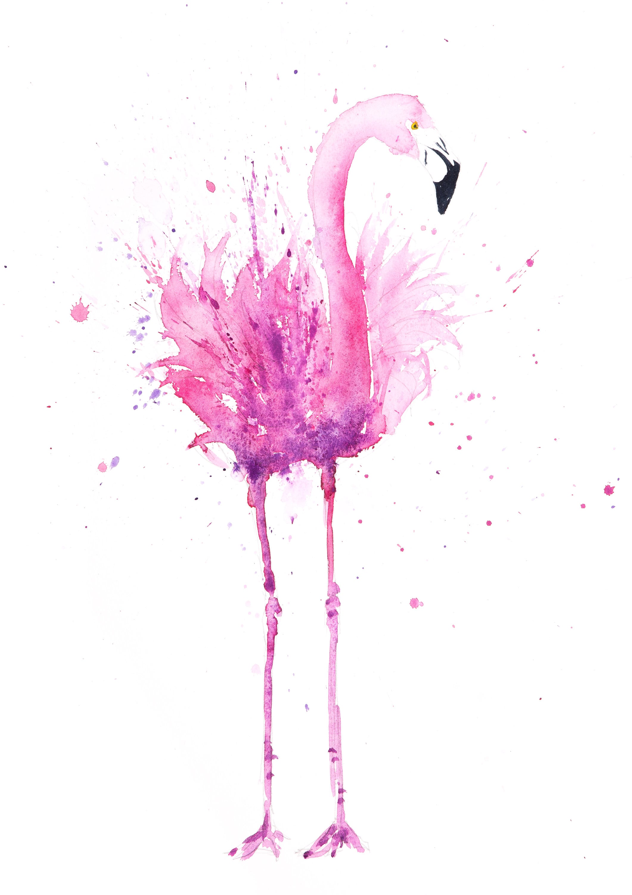 Flamingo Pair Print Signed Limited Edition Prints of my original