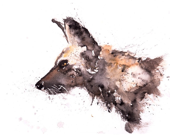 Wild Dog No.2 - Signed Print of my original watercolour painting