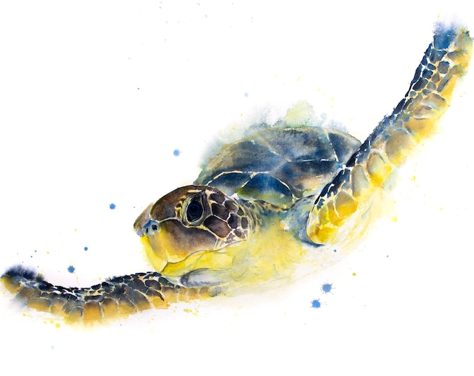 Original Turtle Painting Watercolour Painting - Signed Original Watercolour Turtle Painting by Syman Kaye - Sea Turtle Chelys Galactica