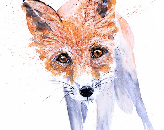 Fox Painting - Hand signed limited edition fox print from my original fox watercolour painting