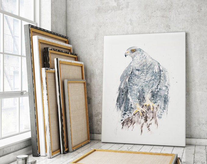 Goshawk Canvas Print - Hand Signed Goshawk Bird of Prey canvas watercolour print