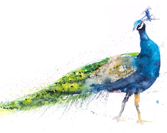 Peacock Painting No.1 Wall Art Watercolour - Signed Limited Edition Print from my Original Peacock Watercolour Abstract Animal Painting