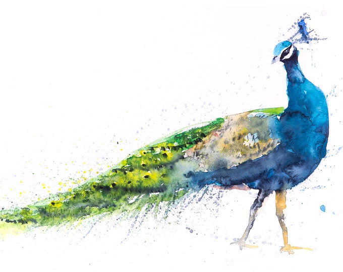 Peacock Painting No.1 Wall Art Watercolour - Signed Limited Edition Print from my Original Peacock Watercolour Abstract Animal Painting