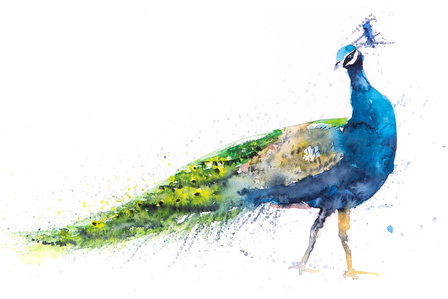 Peacock Painting Wall Art Watercolour - Signed Limited Edition Print from my Original Peacock Watercolour Abstract Animal Painting Peacock Painting Wall Art Watercolour - Signed Limited Edition Print from my Original Peacock Watercolour Abstract Animal Painting