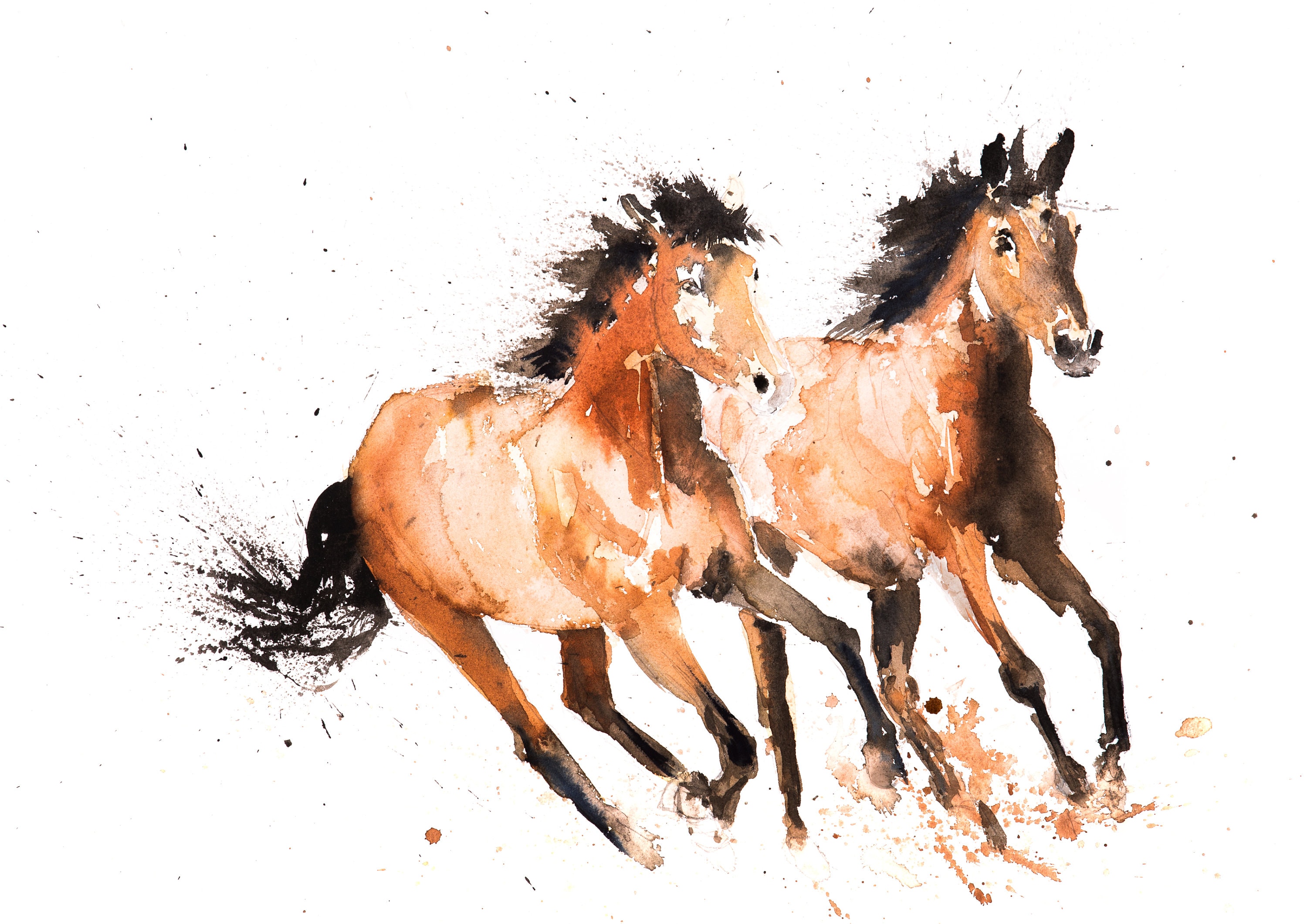 Wild Horse Canvas print Hand Signed Horse Watercolour Wall Art