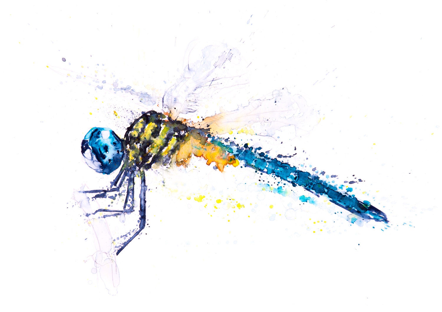 Dragonfly Watercolor Painting Watercolour Signed Limited Etsy