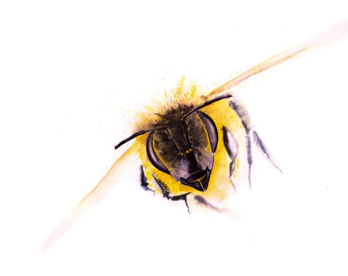 Original Honey Bee Painting- Original Watercolour Painting of a Bee by Syman Kaye - "Incoming" Original Painting Signed and Embossed