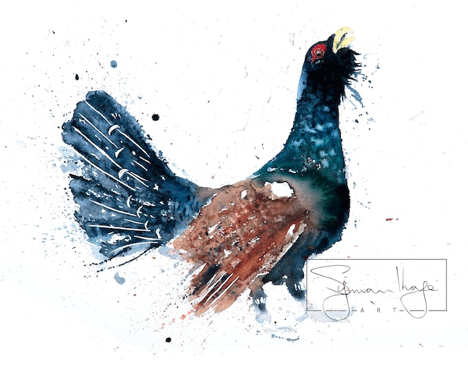 Cock-a-Hoot-Too - Signed Print of my original watercolour painting of a Capercaillie