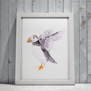 Puffin Watercolour Painting -  Wall Art  - Hand Signed, Numbered, Dated and Embossed Limited Edition Print of my Puffin Watercolor Painting