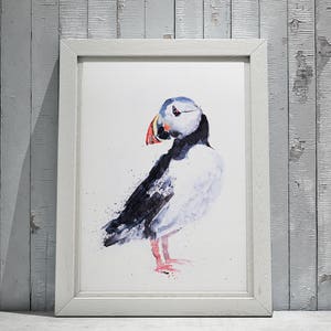 Puffin Painting No.1 - Hand Signed Limited Edition Print of my Original Watercolour Painting of a Puffin