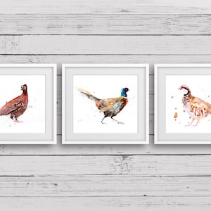 Dipinto ad acquerello di pernice, fagiano e gallo cedrone - Bellissime stampe ad acquerello della fauna selvatica - Firmate a mano con amore