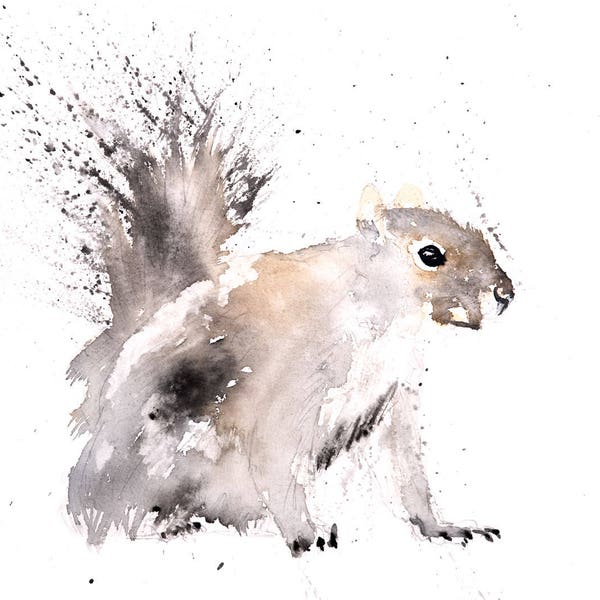 Grey Squirrel No.1 - Signed limited Edition Print of my Original Water Colour Painting of a Grey Squirrel