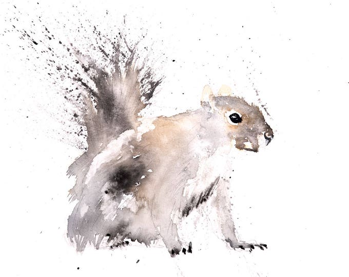 Grey Squirrel No.1 - Signed limited Edition Print of my Original Water Colour Painting of a Grey Squirrel