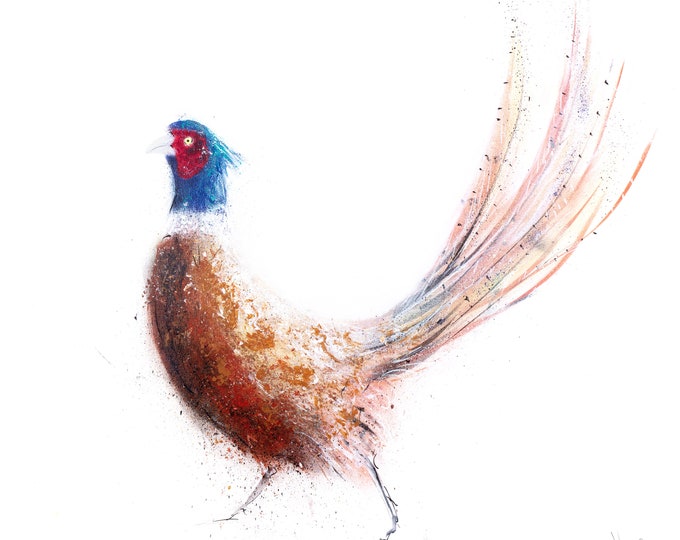 Street Art Pheasant Graffiti Style Spray Painted Pheasant Wall Art Spray Painted Abstract Pheasant Hand Signed Limited Edition Print