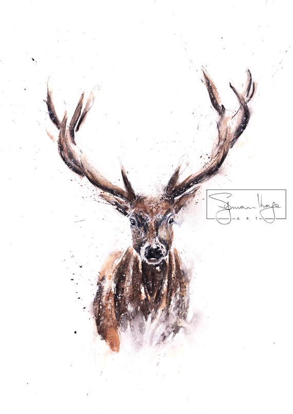 Stag Watercolour Painting - Hand Signed Dated Numbered Embossed Limited Edition Print of the Original  Watercolor Painting Wall Animal Art