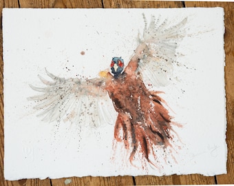 Flushed Pheasant Original Watercolour Painting by Syman Kaye Pheasant Bird Art
