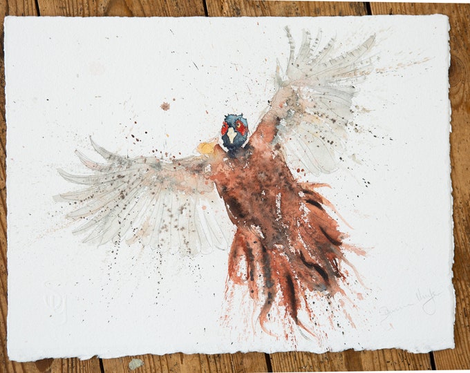 Flushed Pheasant Original Watercolour Painting by Syman Kaye Pheasant Bird Art