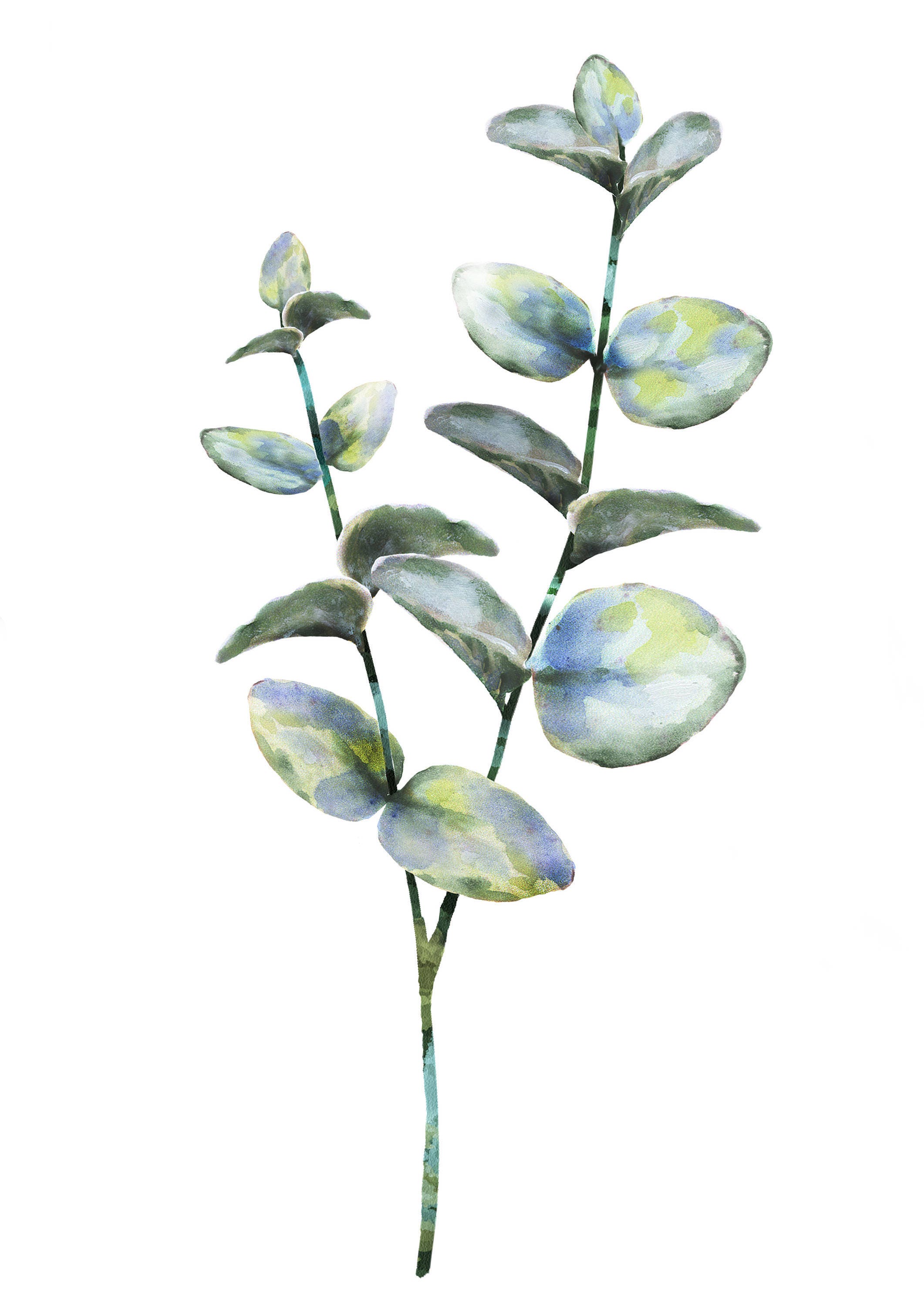 3 Botanical Leaf Prints on Watercolour Paper Art Prints of Leaf Paintings