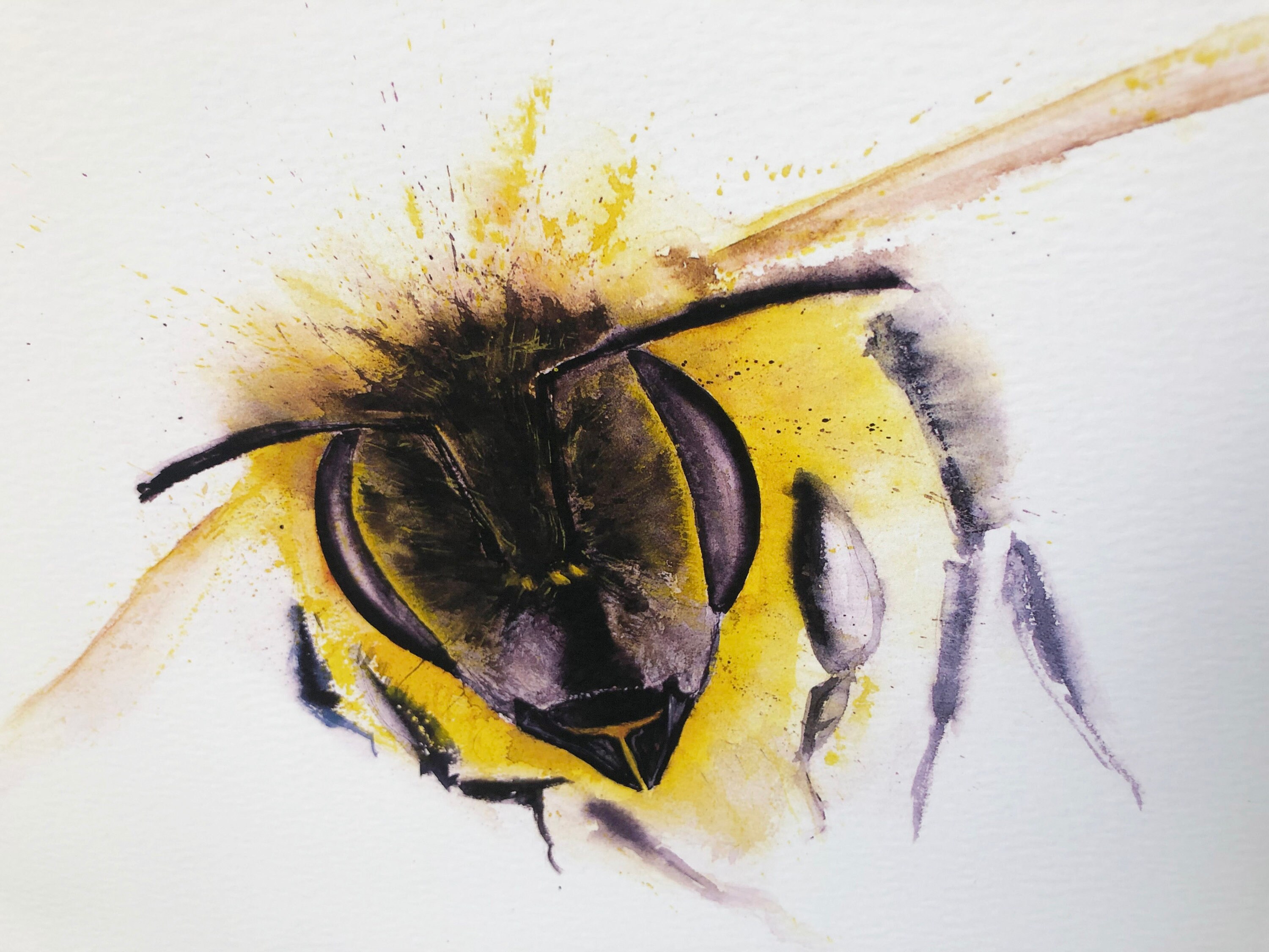 Original Honey Bee Painting Original Watercolour Painting of Etsy