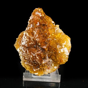 May include: A large, golden yellow fluorite crystal cluster with many facets. The crystal is on a clear display stand.
