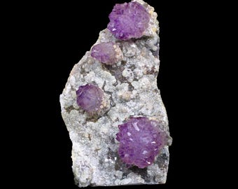 Fleur d'améthyste Scepter - Spécimen minéral naturel sur pied provenant de Karur, Inde | N° B 7130