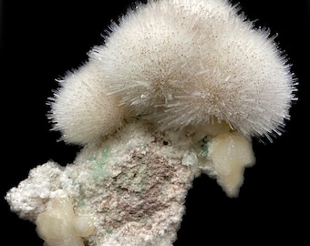 May include: A cluster of white, needle-like crystals on a rock. The crystals are arranged in a radial pattern, creating a fluffy, cloud-like appearance.