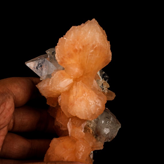 アポフィライトとスティルバイトの天然鉱物標本 # B 6457 - Etsy 日本