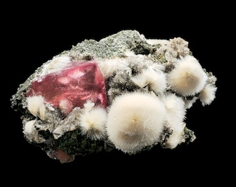 May include: A pink fluorite crystal with a sharp, geometric shape, surrounded by white, fluffy aragonite crystals on a gray rock.