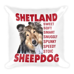 Shetland Sheepdog Pillow Sheltie 18&quot; Square Pillow Sable & White