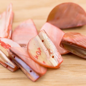 May include: A group of eight pink and orange iridescent shell pieces with holes drilled through them. The shells are arranged on a light brown wooden surface.