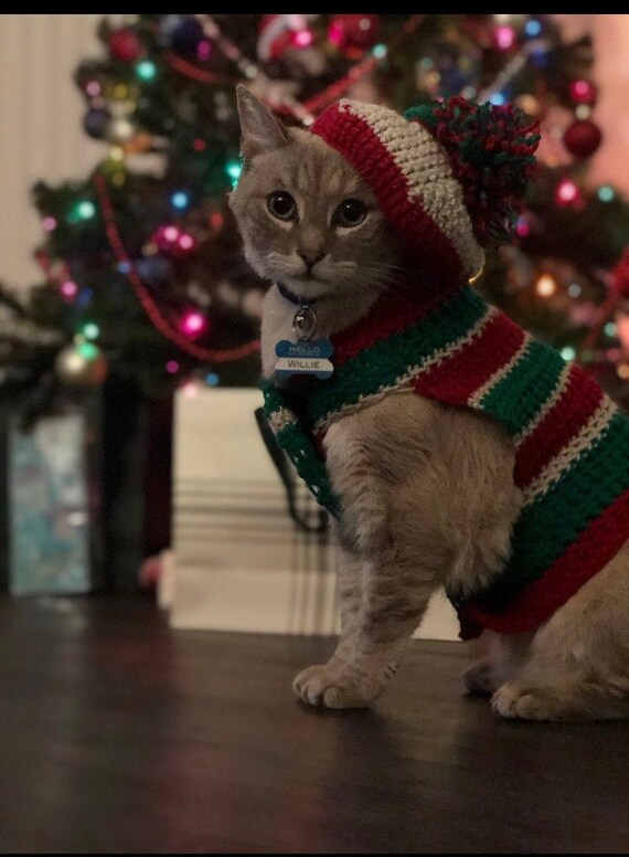 ugly christmas cat dress