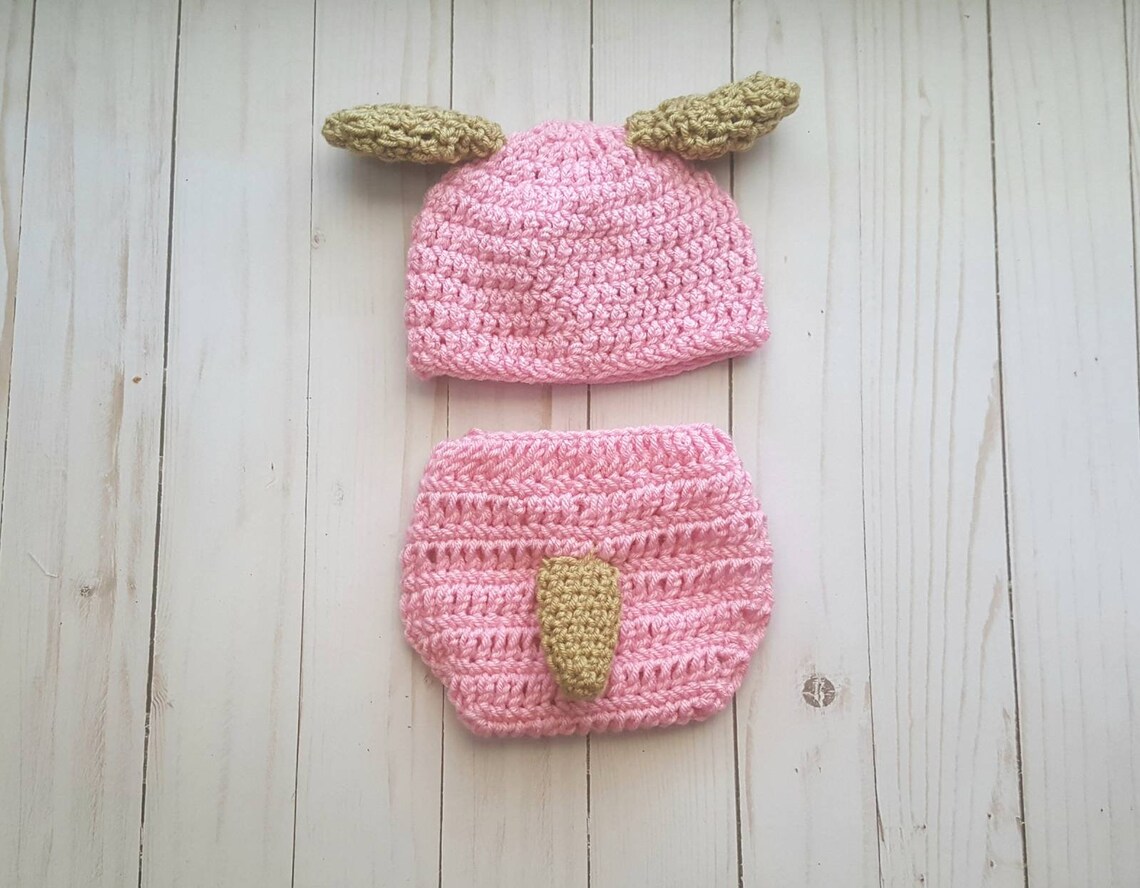Baby Puppy Outfit Puppy Outfit for Baby Blue or Pink Crochet Etsy