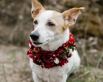 Dog Flower Crown, Dog Flower Collar, Flower Crown, Pet Flower Crown,  Puppy Flower Collar, Pets at Weddings, Flowerdog, Decorative collar